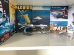 Plane Crazy Civil Aviation Community