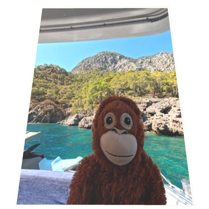 Capa de Macaco de Pelucia Feliz