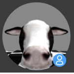 Cows United 101