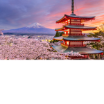 Japan Instincts!