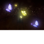 Bugs112011