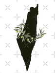 The Palestinian Olive Tree