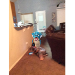 Ryan is poop