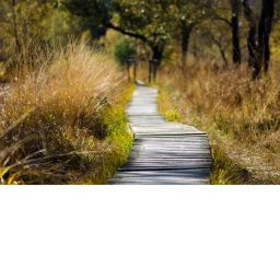 Nature Walk Showcase. icon
