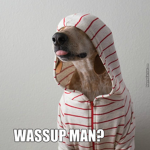 The Wassup Club