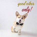 Good Vibes Forever :)