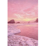 .+*SIS*+.
