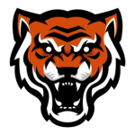 The Russian Tigers