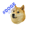 THE #DOGE SQUAD