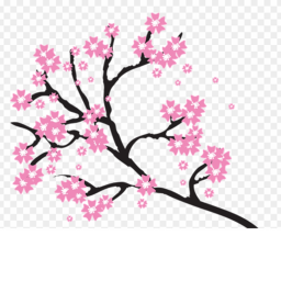 Sakura is urban!?