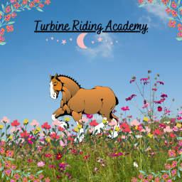 Turbine Riding Academy WIP