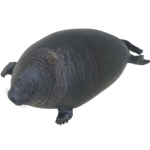 Seal Crusader Studios