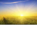 Sun&shine