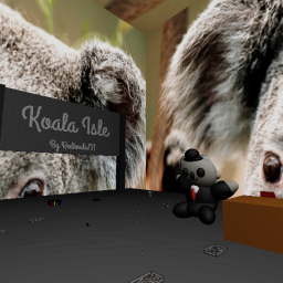 Harry's Koala Hangout