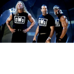 N.W.O(New World Order) Fan group