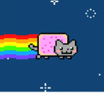 The Nayn Cat Squad