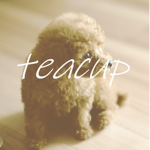 tea cup apparel