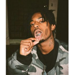 $LIME VIBE$