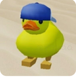 duck nation real