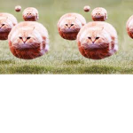 official fr3dbear2012 group