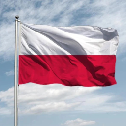 palais 🇵🇱
