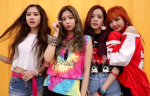 BLACKPINK fans group private