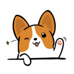 Corgi fun
