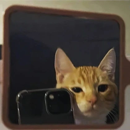 Floofy Hangout! Roblox group icon