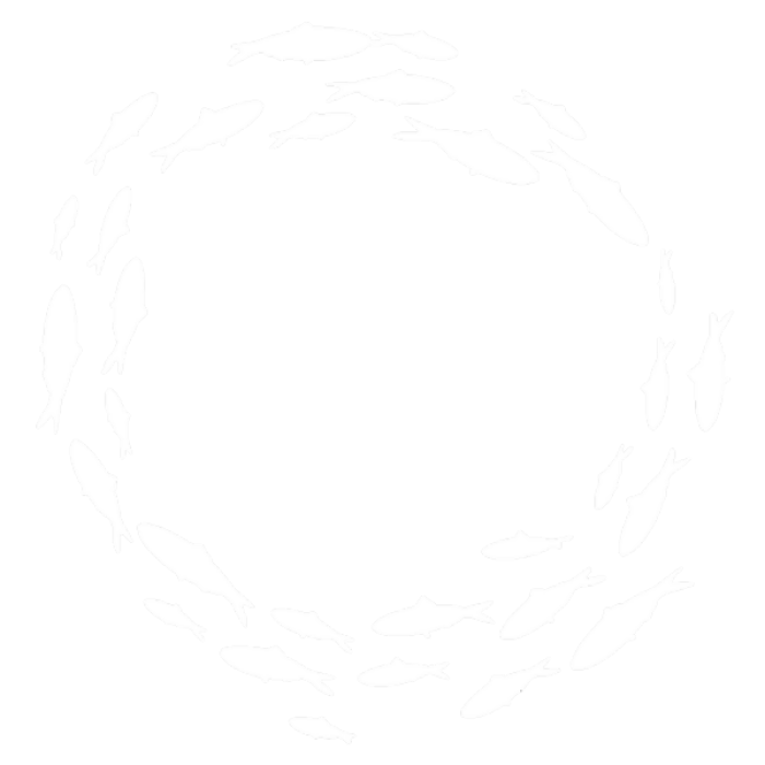 White Fish Circle Roblox decal
