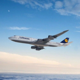 ✈︎