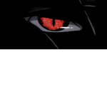 Sub to VNS Redeye