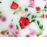 Drenched Roses