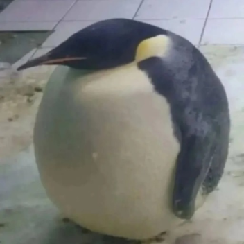 Penguin.