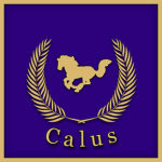 Saguis Calus