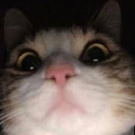 r an a