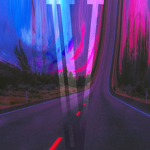 Vameii