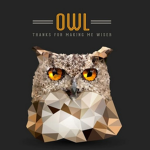 Media Owls