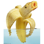 Banana Fish Cafe