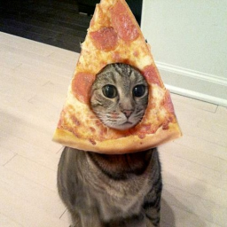 Pizza Panic!
