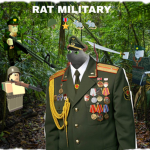 USA rats