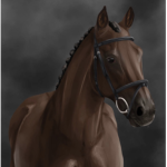 - rv equine -