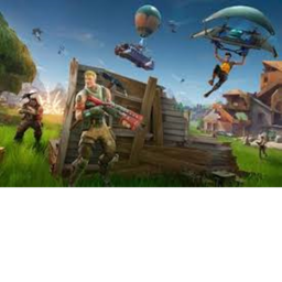 Fortnite battle royal!