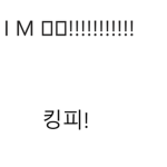 킹피스 해적단 (공식 X)