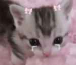 skiestyz