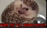fREE GOOD BOBUX