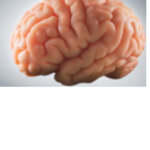 The Thinkers That Think