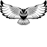 the awsome people  bros for life