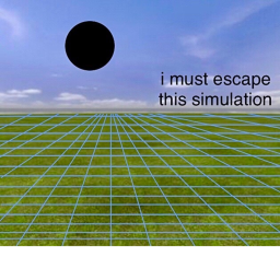 i must escape this simulation