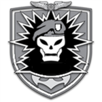 The Roblox Profesional Assault Army
