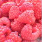 yummy berries!